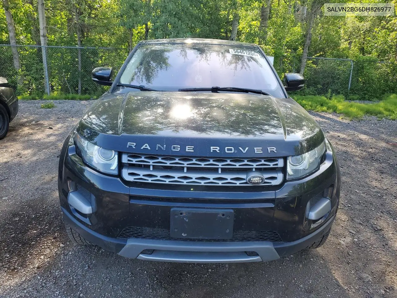 2013 Land Rover Range Rover Evoque Pure VIN: SALVN2BG6DH826977 Lot: 56461206