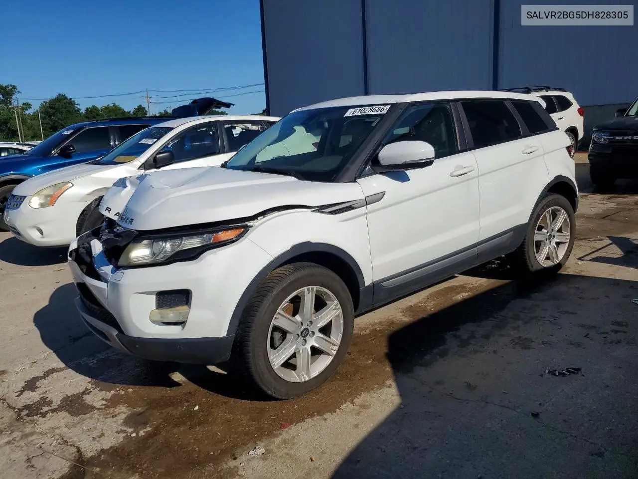 2013 Land Rover Range Rover Evoque Pure Premium VIN: SALVR2BG5DH828305 Lot: 61028686