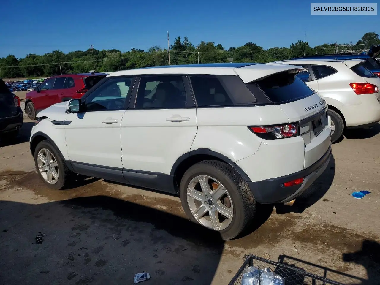 2013 Land Rover Range Rover Evoque Pure Premium VIN: SALVR2BG5DH828305 Lot: 61028686