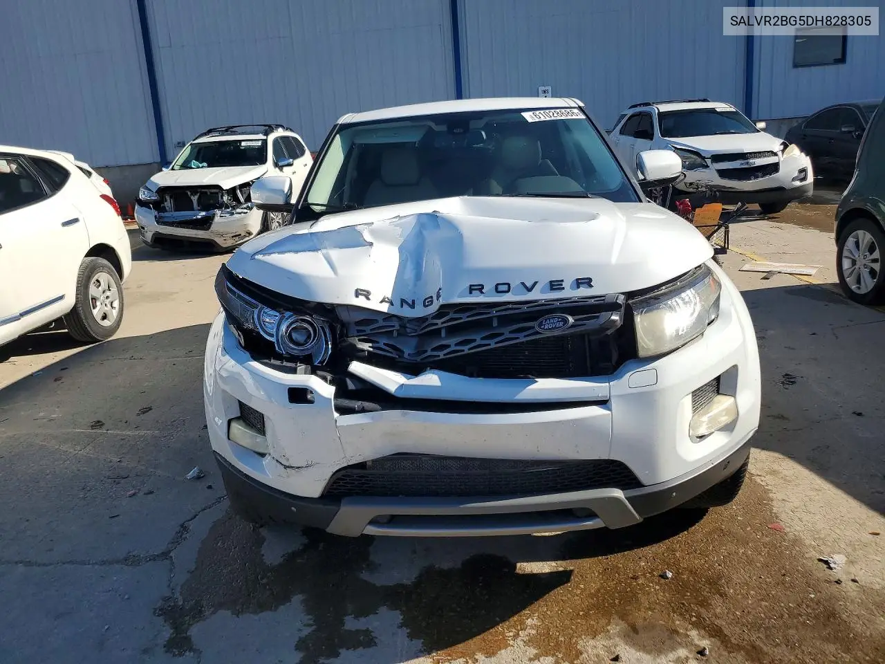 2013 Land Rover Range Rover Evoque Pure Premium VIN: SALVR2BG5DH828305 Lot: 61028686