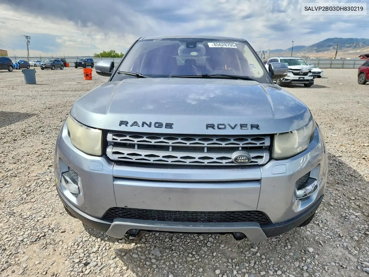 2013 Land Rover Range Rover Evoque Pure Plus VIN: SALVP2BG3DH830219 Lot: 85628795