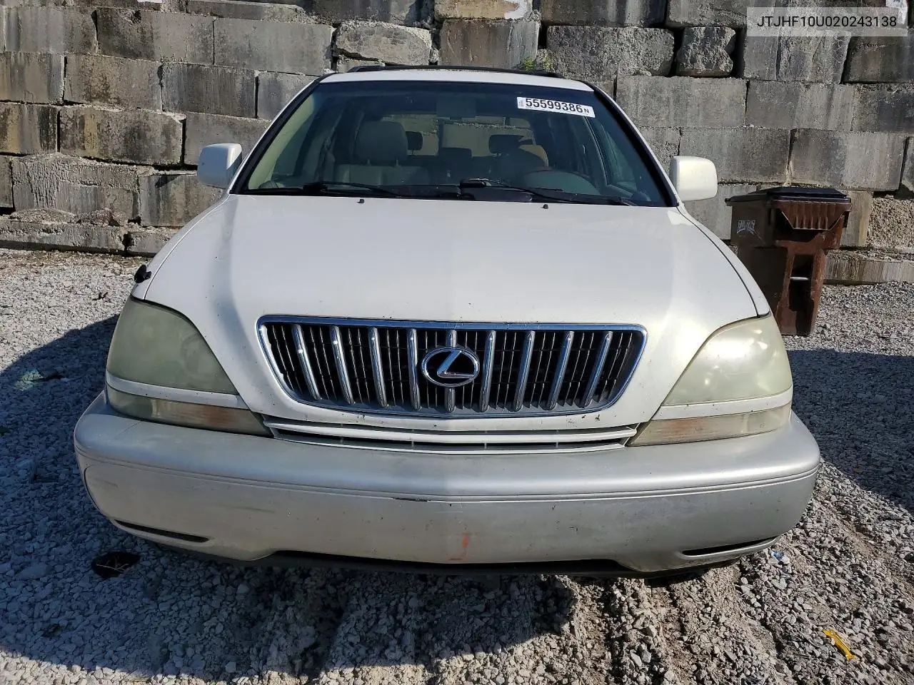 2002 Lexus Rx 300 VIN: JTJHF10U020243138 Lot: 55599386