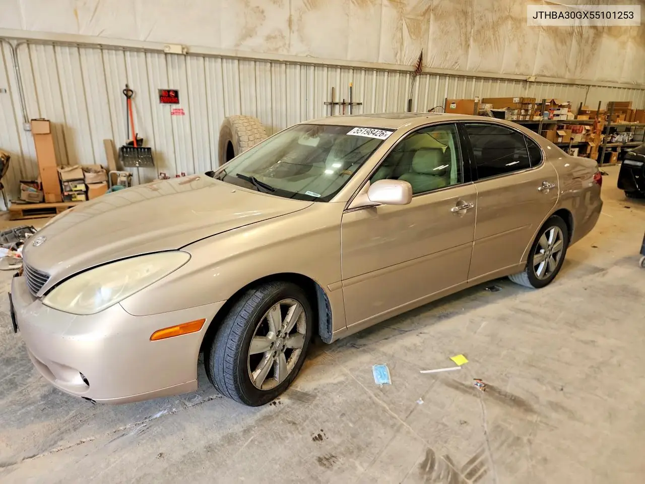 2005 Lexus Es 330 VIN: JTHBA30GX55101253 Lot: 55198426