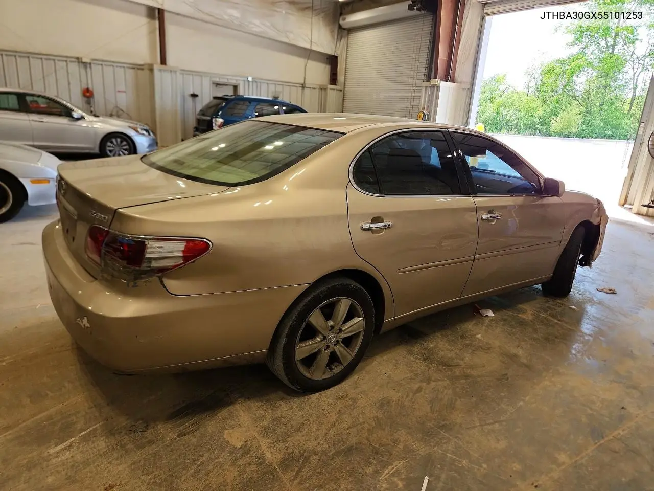 2005 Lexus Es 330 VIN: JTHBA30GX55101253 Lot: 55198426