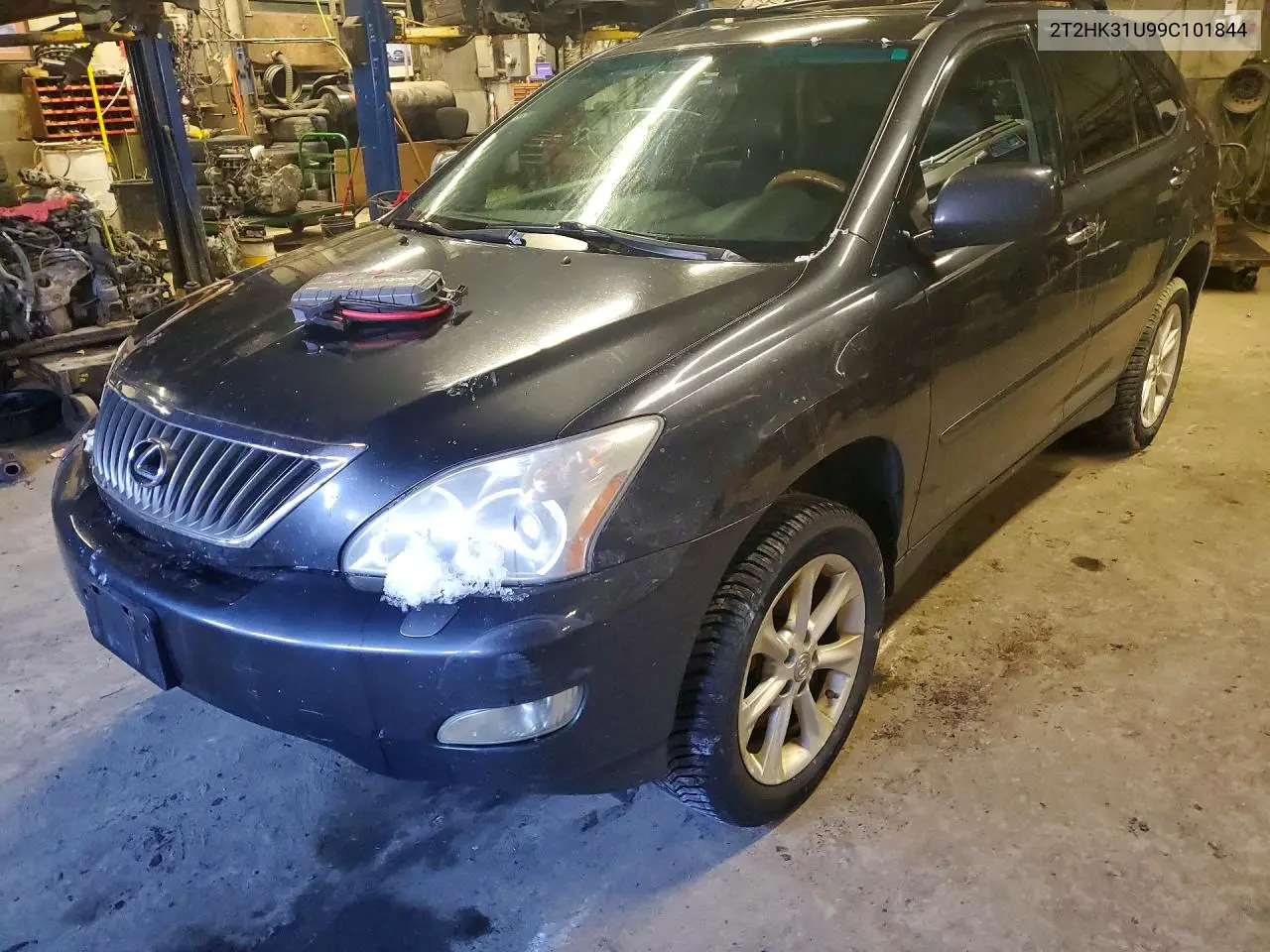 2009 Lexus Rx 350 Base VIN: 2T2HK31U99C101844 Lot: 47969476