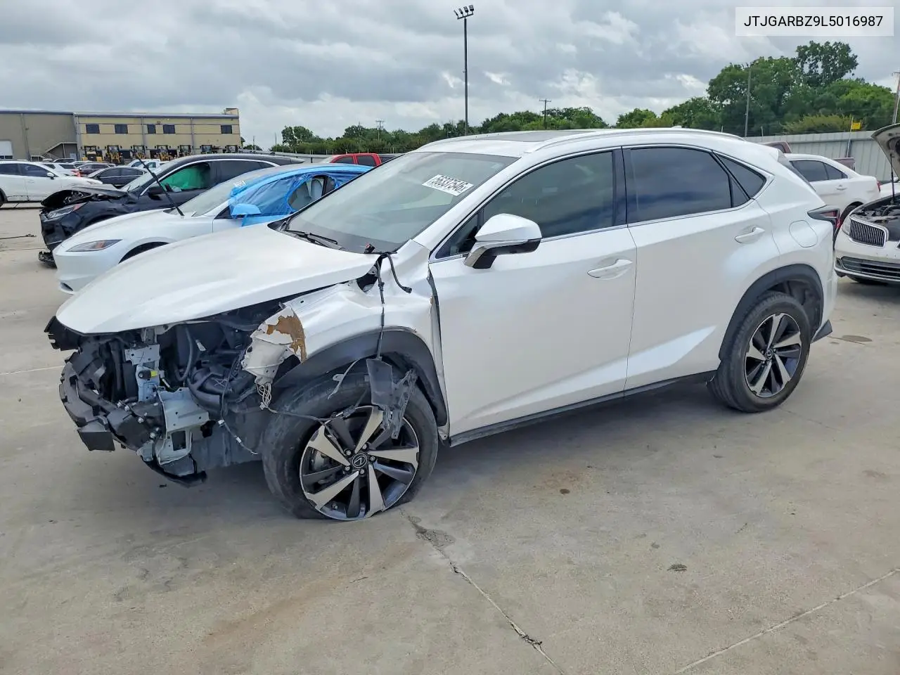 2020 Lexus Nx 300 VIN: JTJGARBZ9L5016987 Lot: 56337546