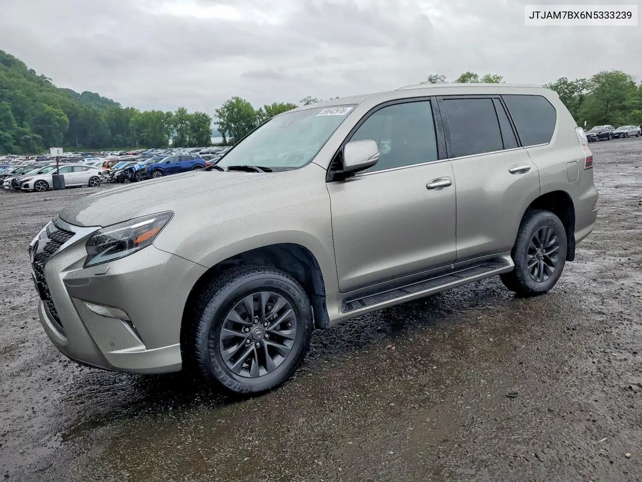 2022 Lexus Gx 460 VIN: JTJAM7BX6N5333239 Lot: 59642976