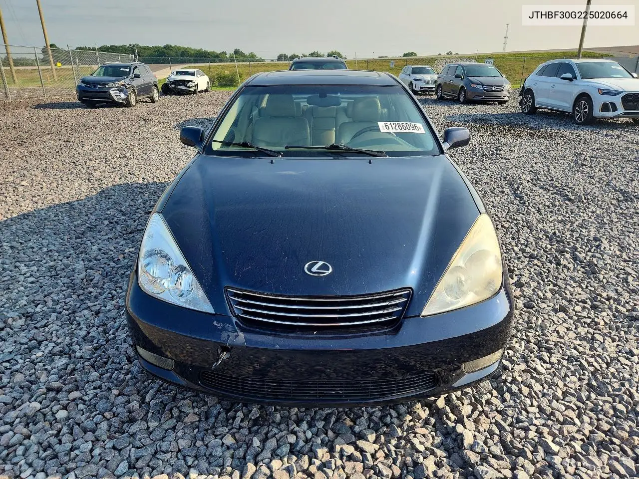 2002 Lexus Es 300 VIN: JTHBF30G225020664 Lot: 61286096