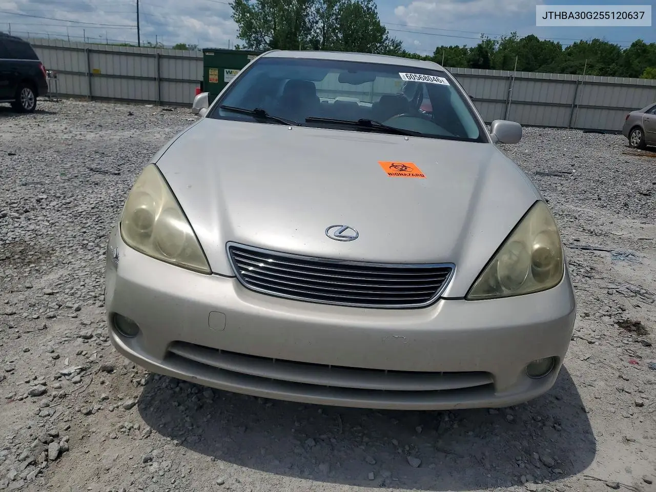 2005 Lexus Es 330 VIN: JTHBA30G255120637 Lot: 60568046