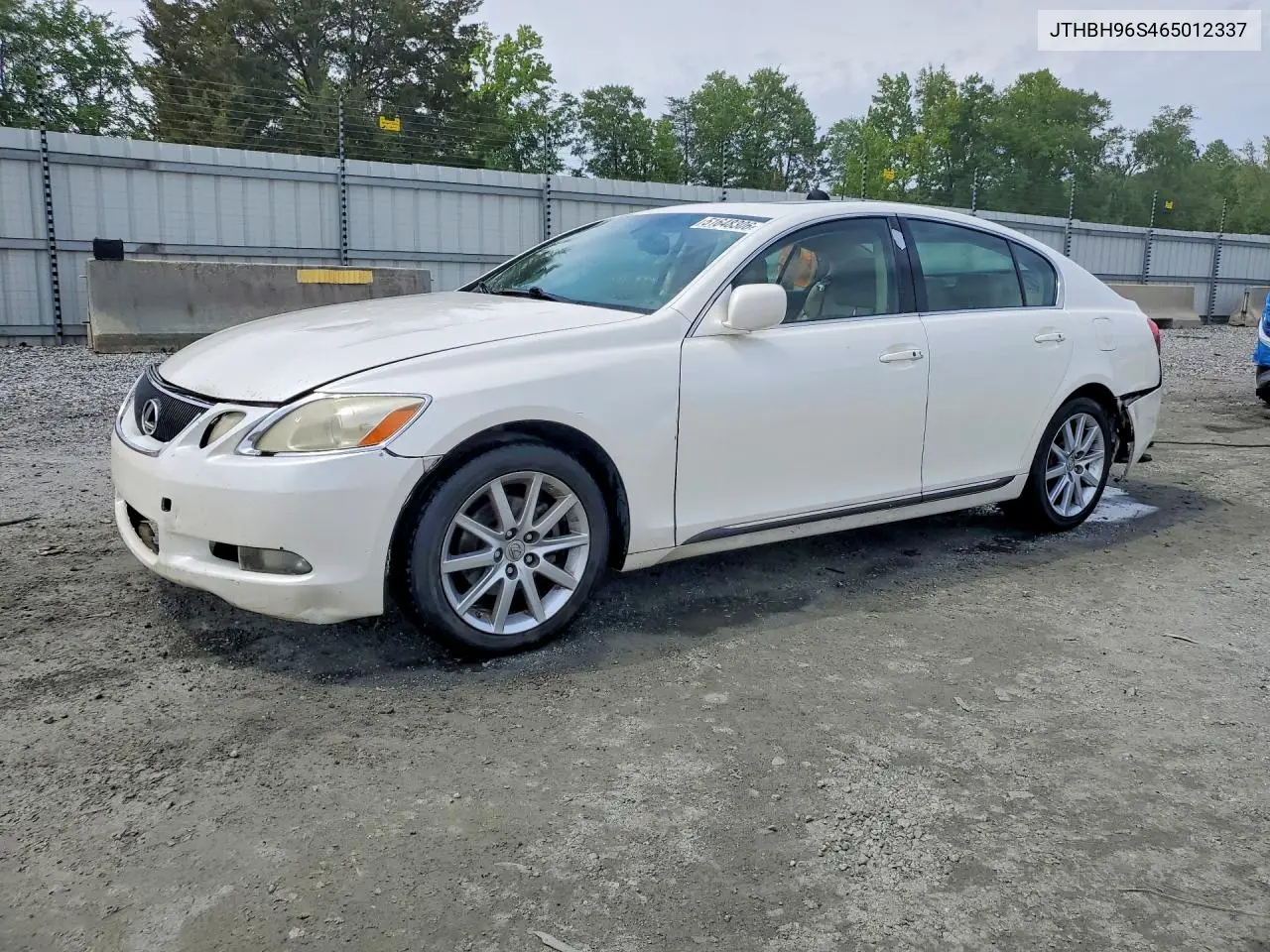 2006 Lexus Gs 300 VIN: JTHBH96S465012337 Lot: 51648306