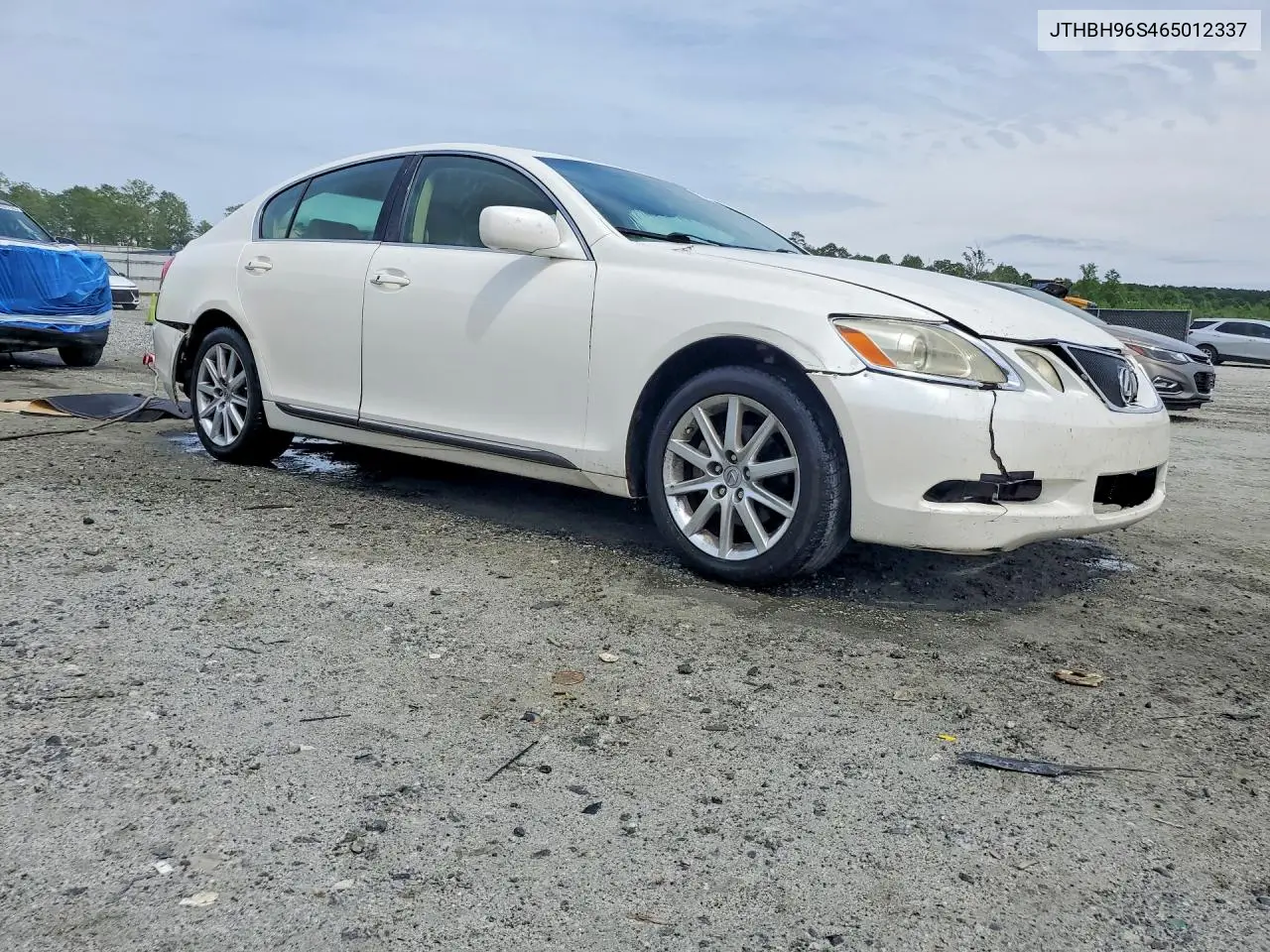 2006 Lexus Gs 300 VIN: JTHBH96S465012337 Lot: 51648306