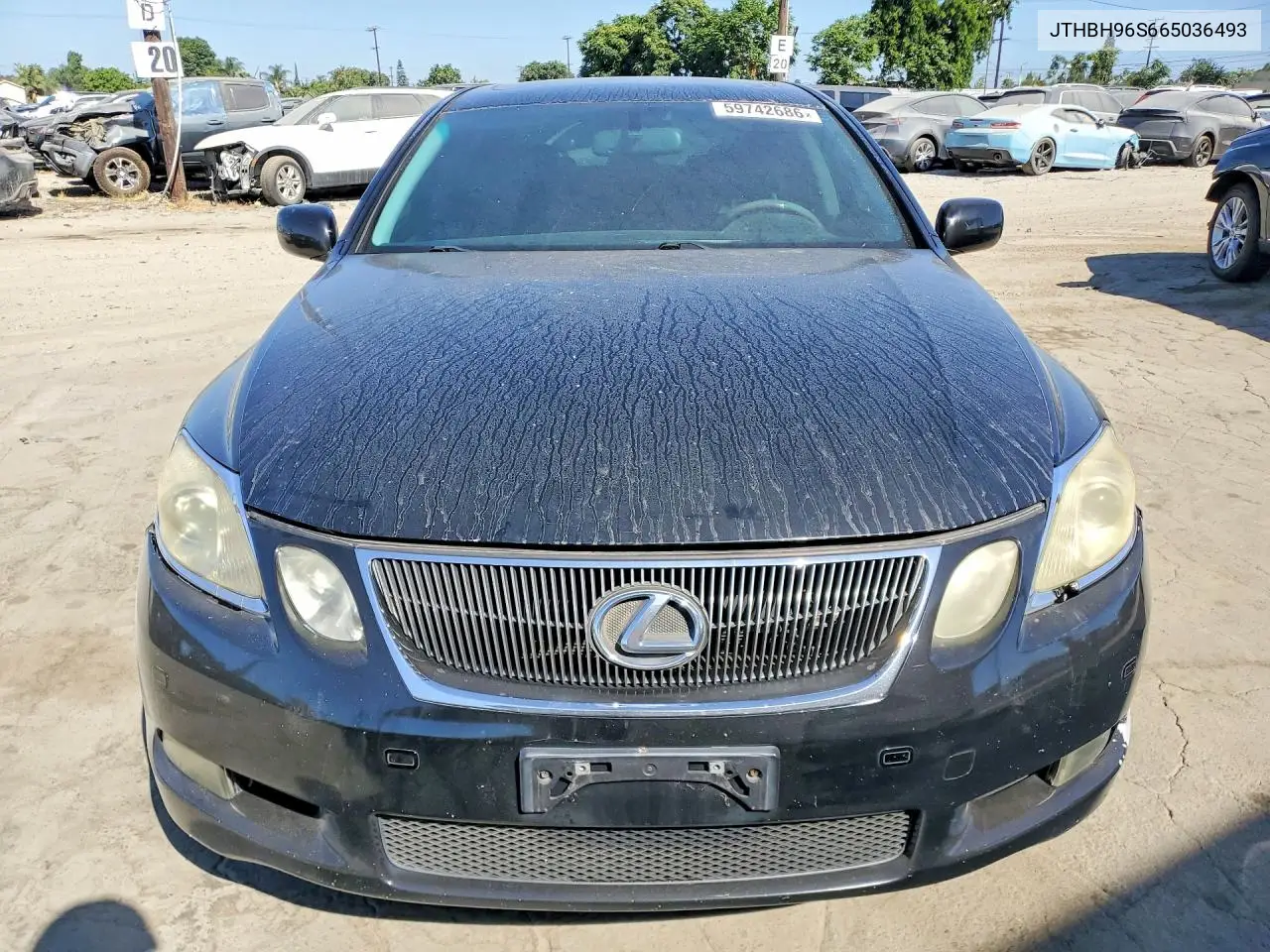 2006 Lexus Gs 300 VIN: JTHBH96S665036493 Lot: 59742686