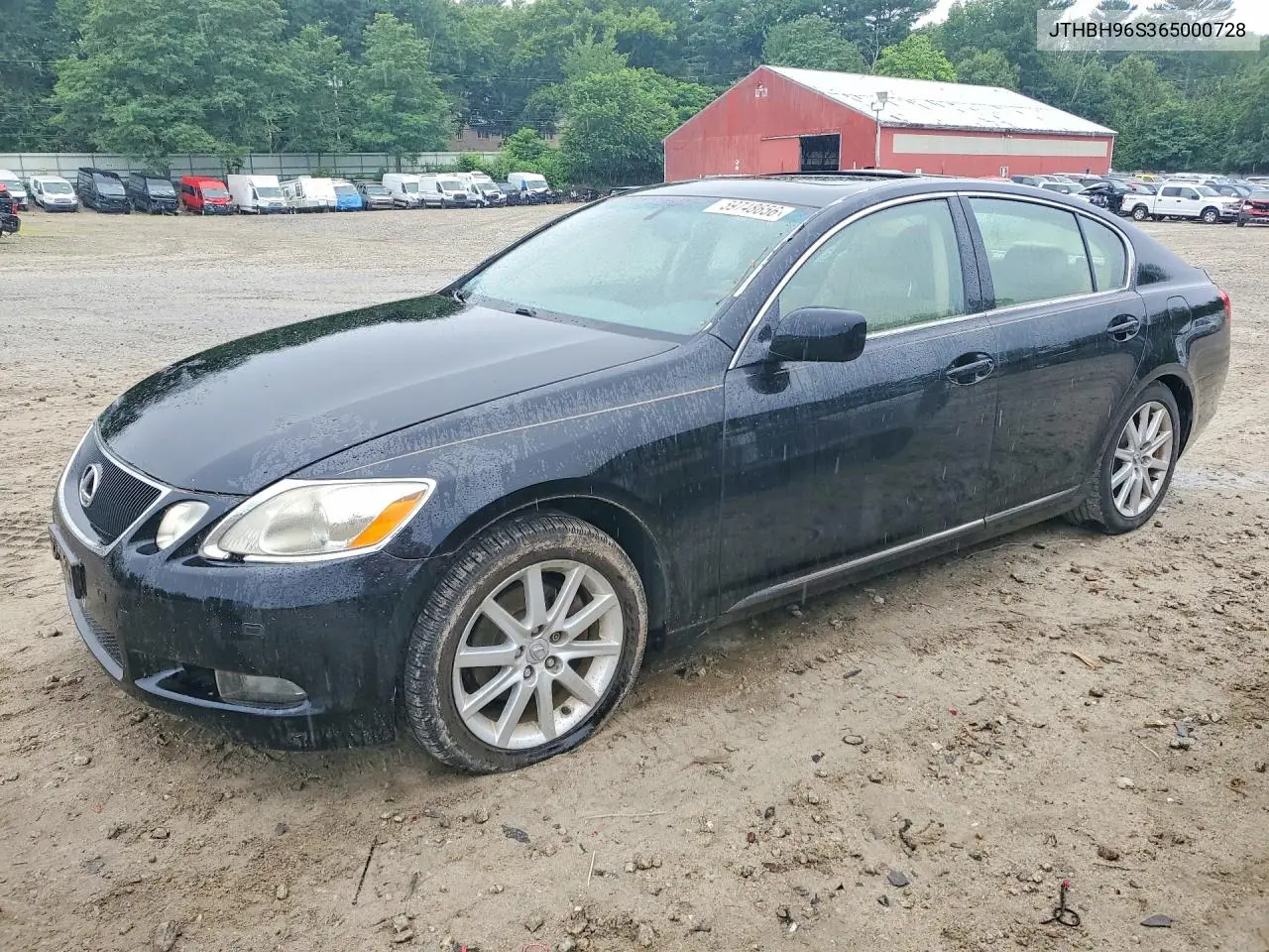 2006 Lexus Gs 300 VIN: JTHBH96S365000728 Lot: 59748656