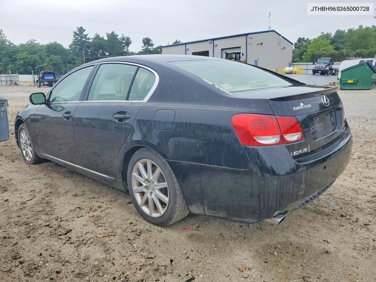 2006 Lexus Gs 300 VIN: JTHBH96S365000728 Lot: 59748656