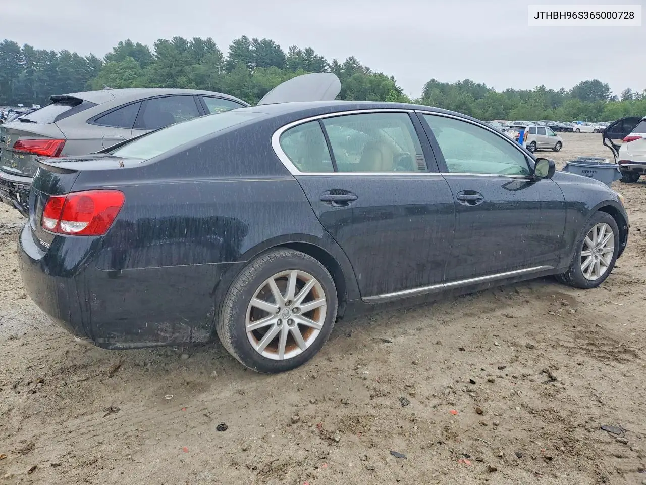 2006 Lexus Gs 300 VIN: JTHBH96S365000728 Lot: 59748656
