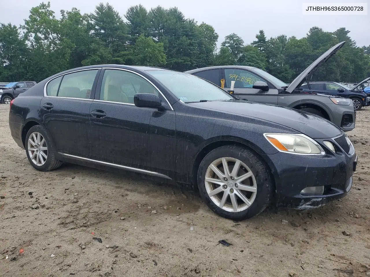 2006 Lexus Gs 300 VIN: JTHBH96S365000728 Lot: 59748656