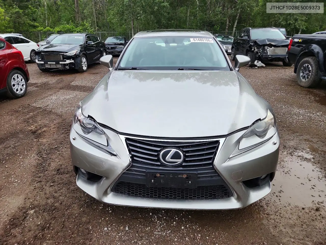 2014 Lexus Is 250 VIN: JTHCF1D28E5009373 Lot: 61480106