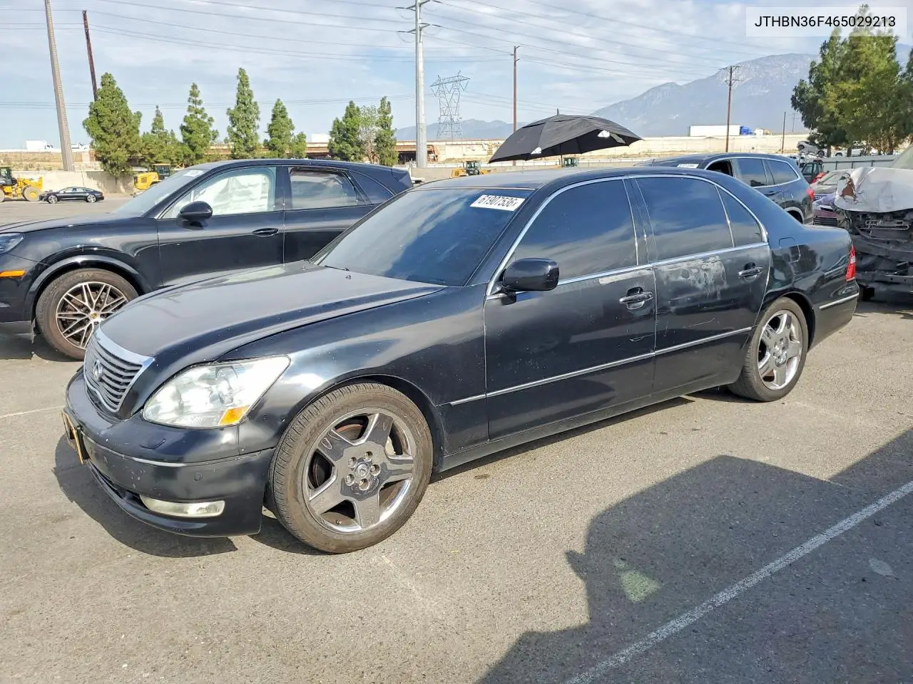 2006 Lexus Ls 430 VIN: JTHBN36F465029213 Lot: 61907536
