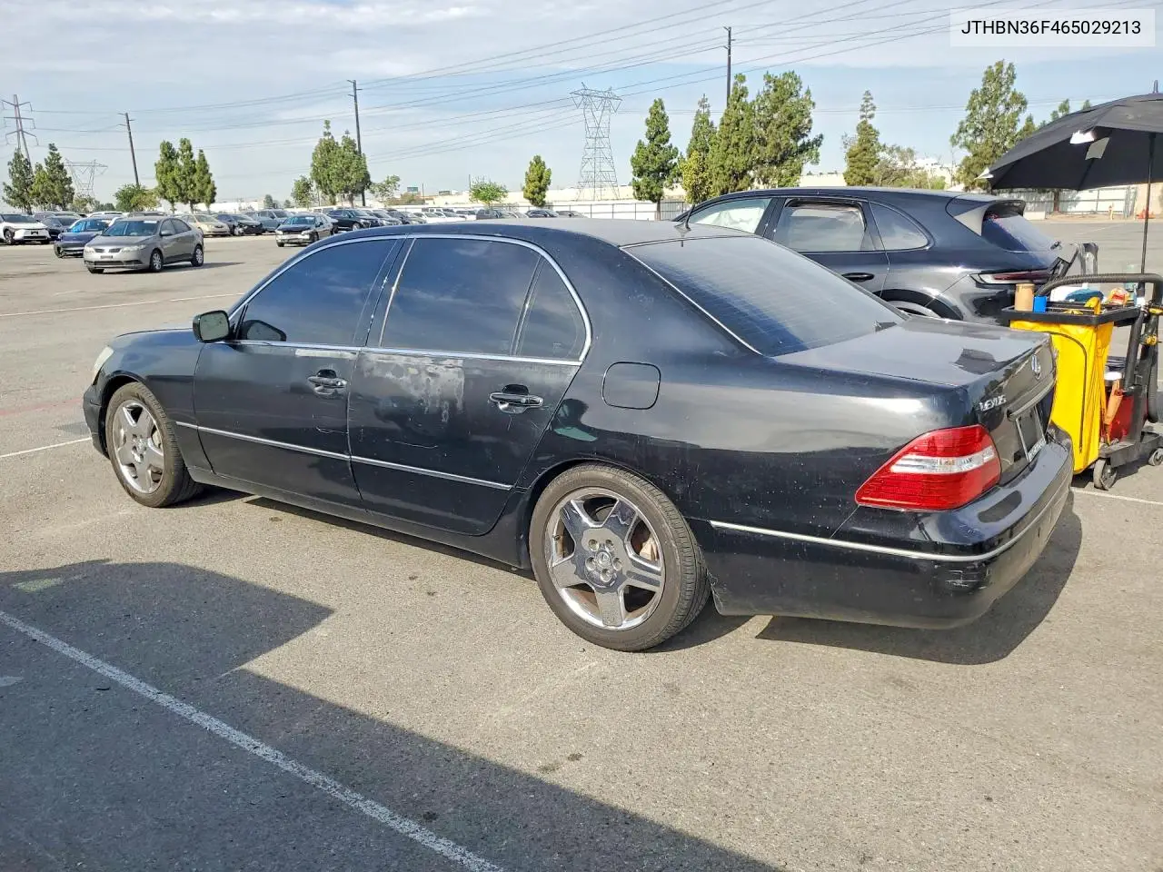 2006 Lexus Ls 430 VIN: JTHBN36F465029213 Lot: 61907536