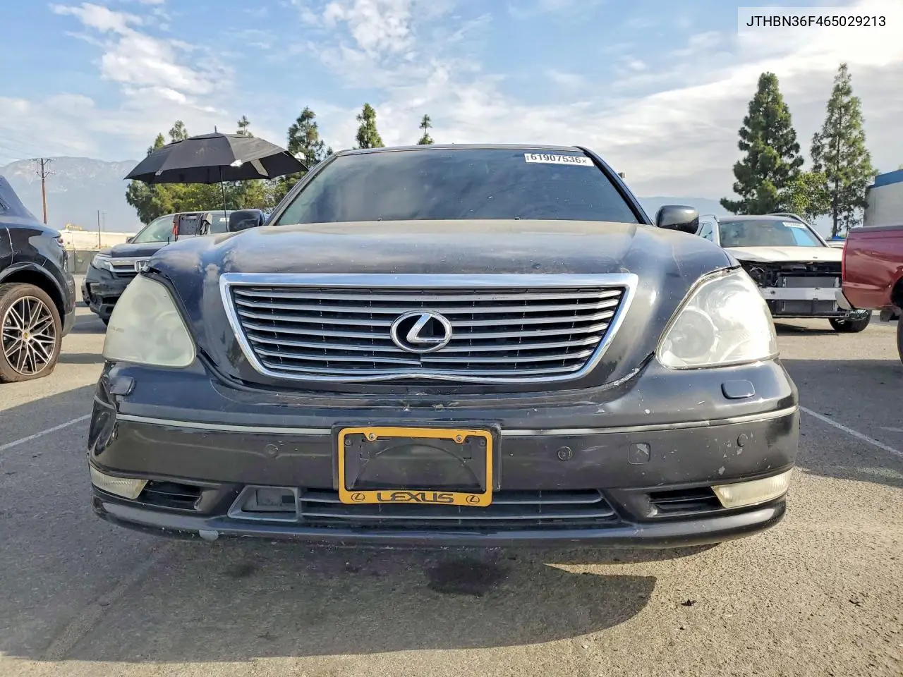 2006 Lexus Ls 430 VIN: JTHBN36F465029213 Lot: 61907536
