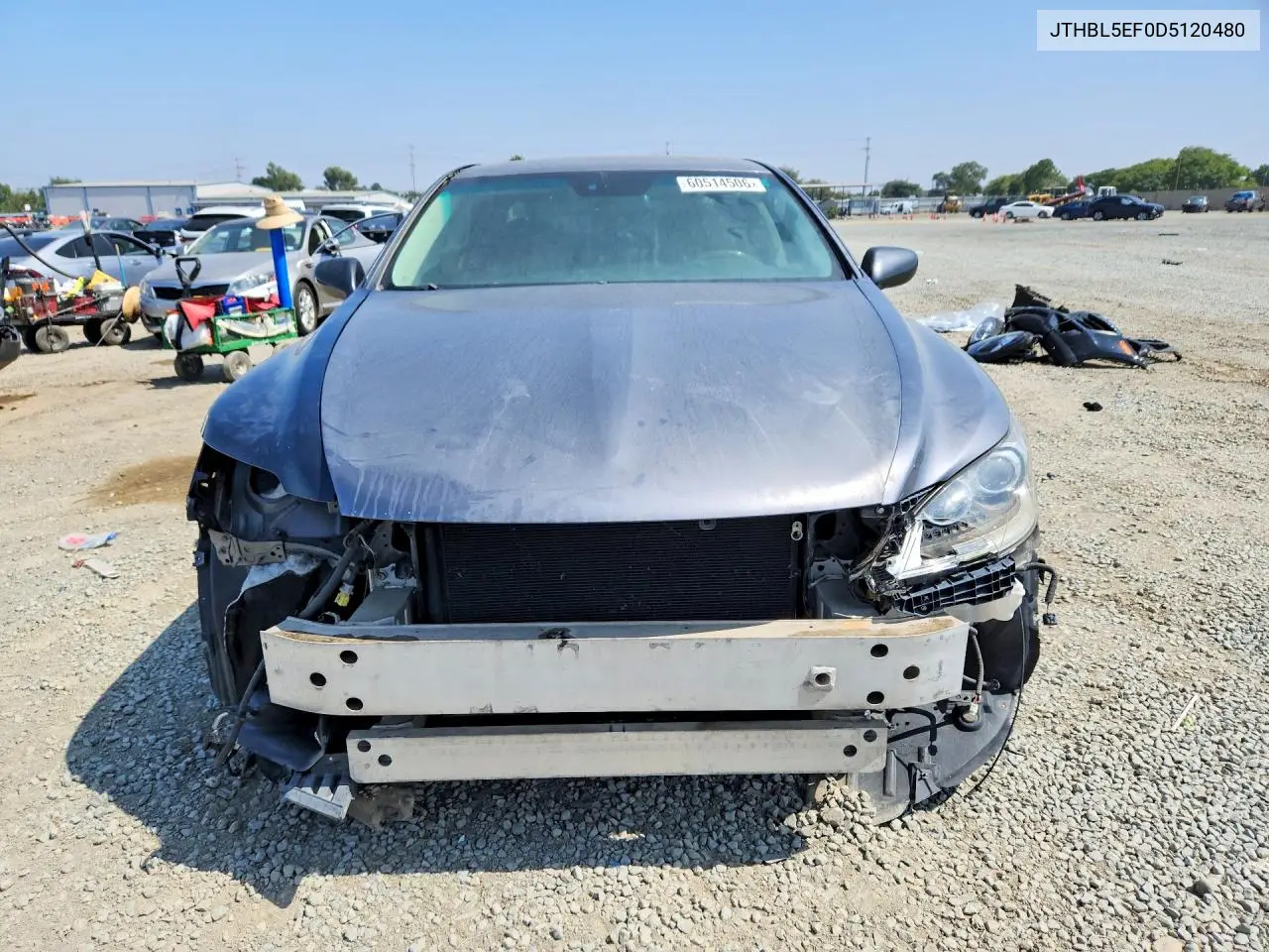 2013 Lexus Ls 460 VIN: JTHBL5EF0D5120480 Lot: 60514506