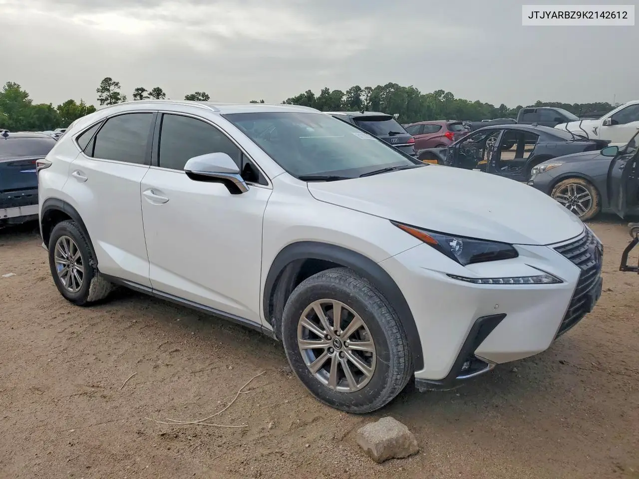 2019 Lexus Nx 300 Base VIN: JTJYARBZ9K2142612 Lot: 61110556