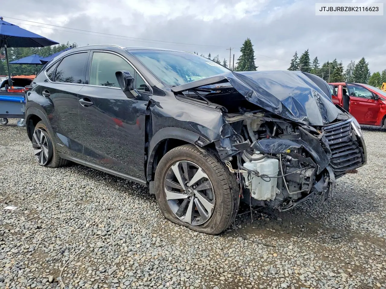 2019 Lexus Nx 300H VIN: JTJBJRBZ8K2116623 Lot: 61535786