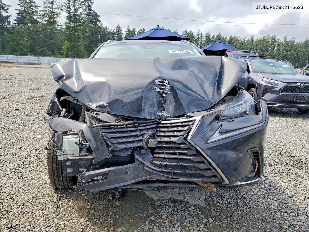 2019 Lexus Nx 300H VIN: JTJBJRBZ8K2116623 Lot: 61535786