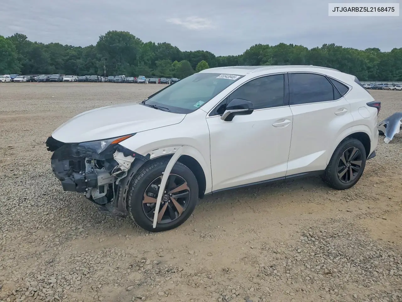 2020 Lexus Nx 300 VIN: JTJGARBZ5L2168475 Lot: 55543946