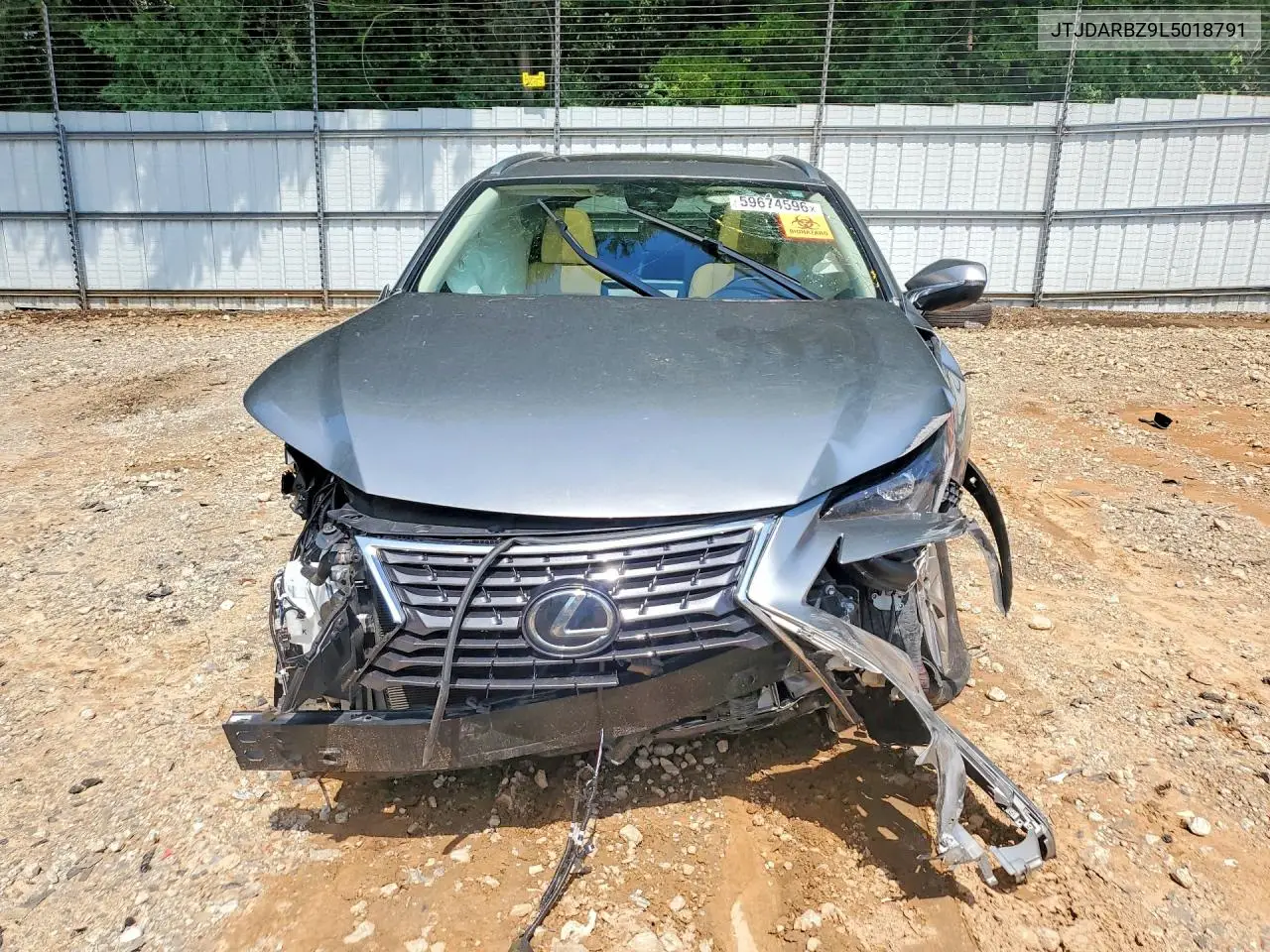 2020 Lexus Nx 300 VIN: JTJDARBZ9L5018791 Lot: 59674596