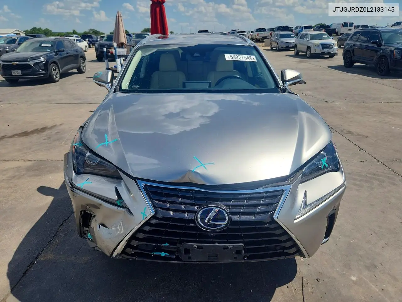 2020 Lexus Nx 300H VIN: JTJGJRDZ0L2133145 Lot: 59957546