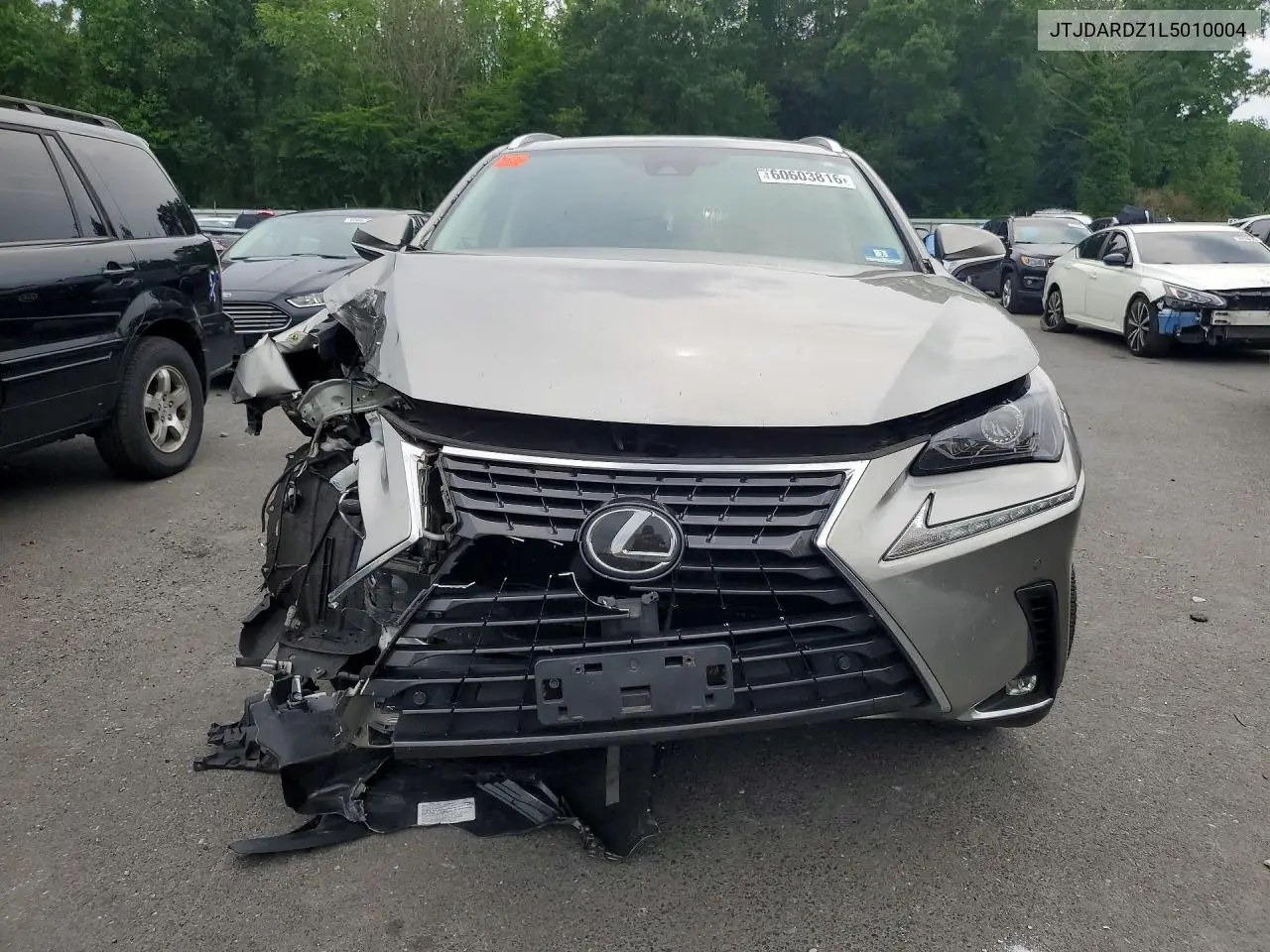 2020 Lexus Nx 300 VIN: JTJDARDZ1L5010004 Lot: 60603816