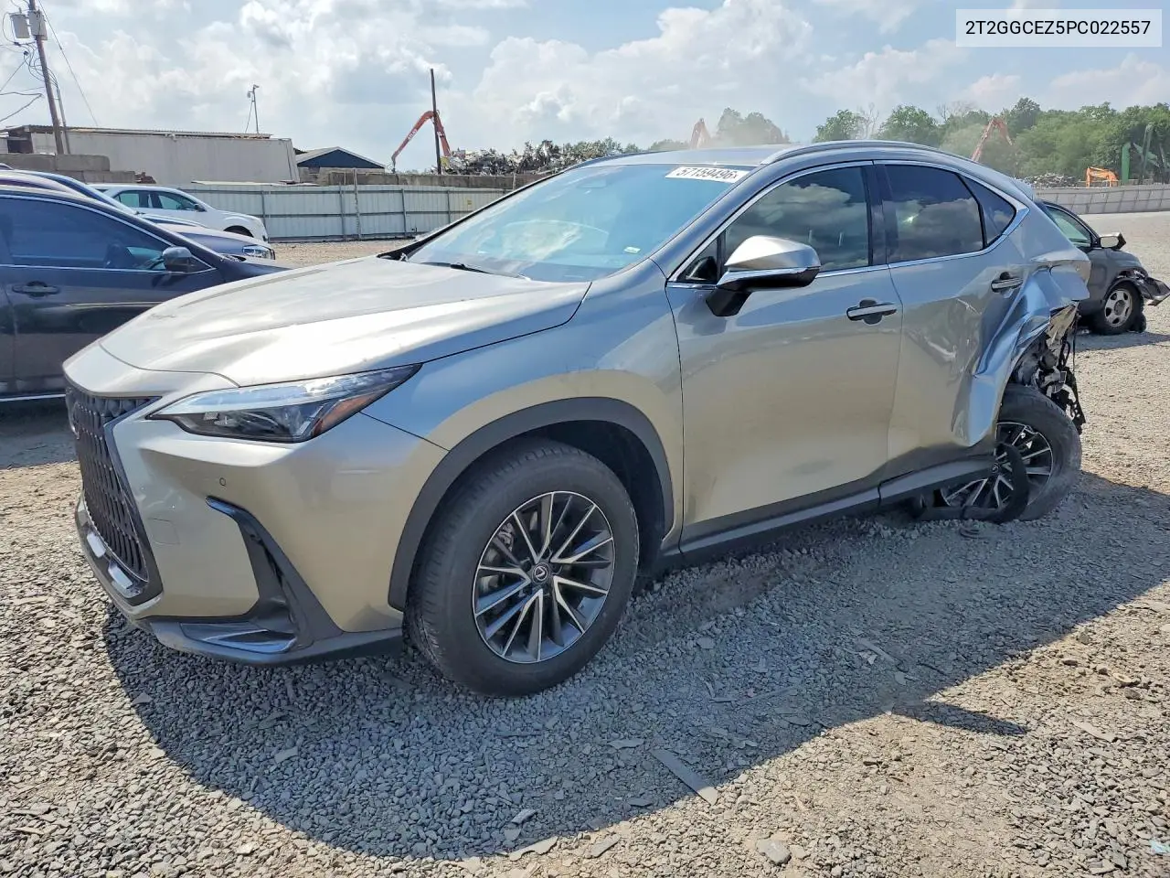 2023 Lexus Nx 350 VIN: 2T2GGCEZ5PC022557 Lot: 57159496