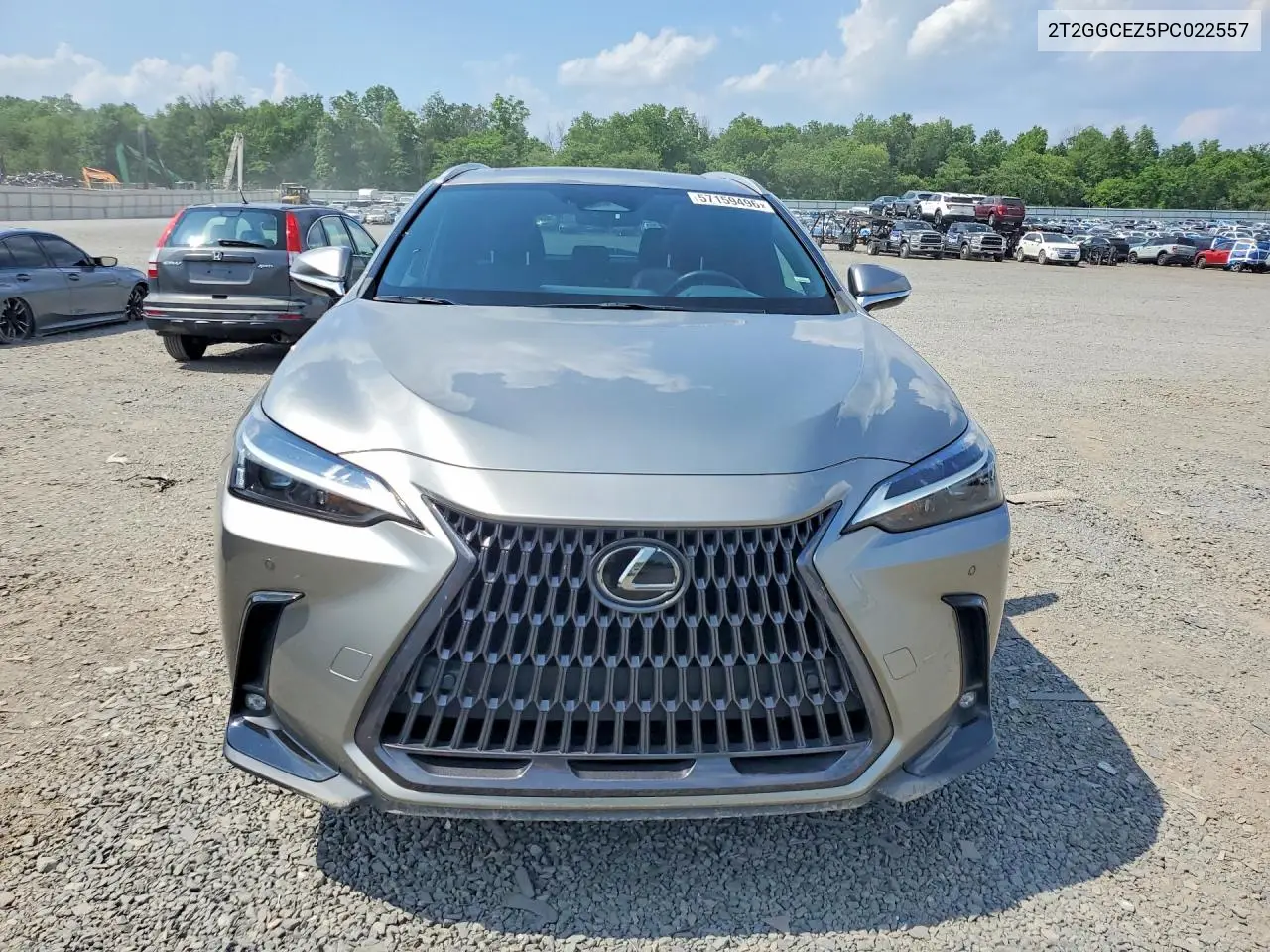 2023 Lexus Nx 350 VIN: 2T2GGCEZ5PC022557 Lot: 57159496