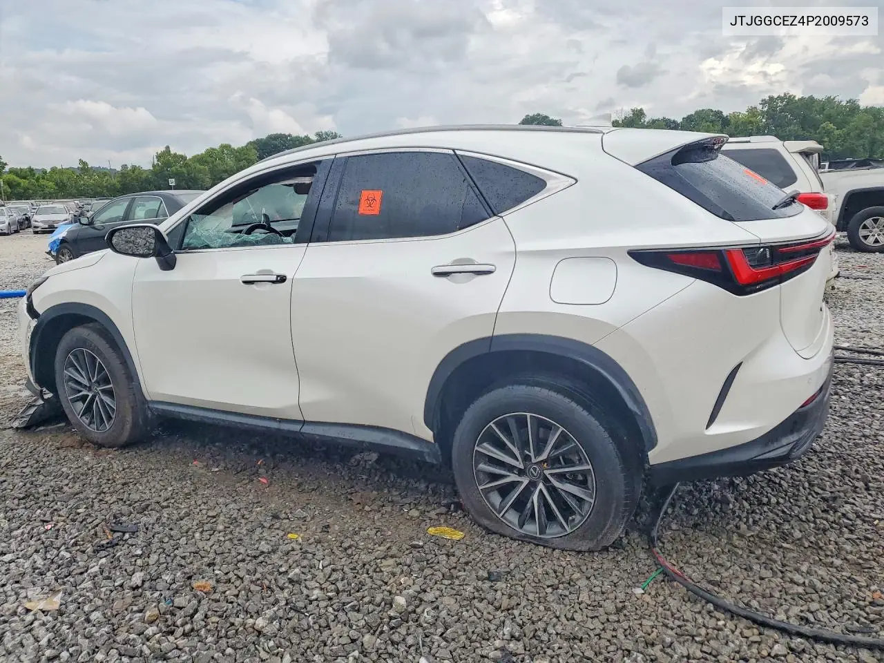 2023 Lexus Nx 350 VIN: JTJGGCEZ4P2009573 Lot: 60209176