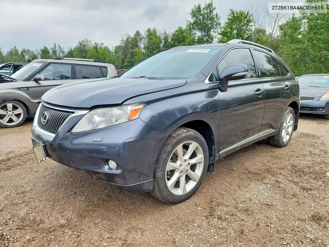 2010 Lexus Rx 350 VIN: 2T2BK1BA4AC036615 Lot: 62051816
