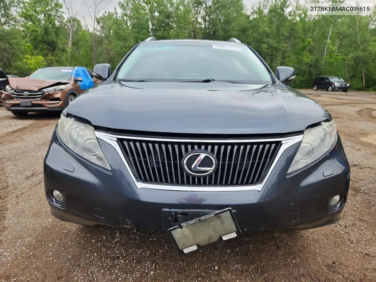 2010 Lexus Rx 350 VIN: 2T2BK1BA4AC036615 Lot: 62051816