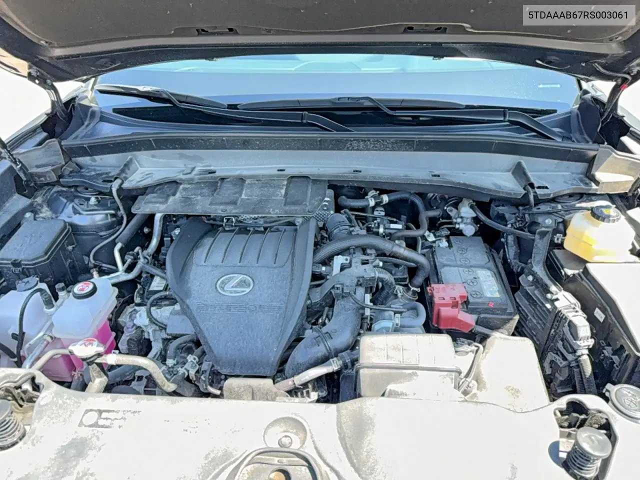 2024 Lexus Tx 350 Base VIN: 5TDAAAB67RS003061 Lot: 54449216