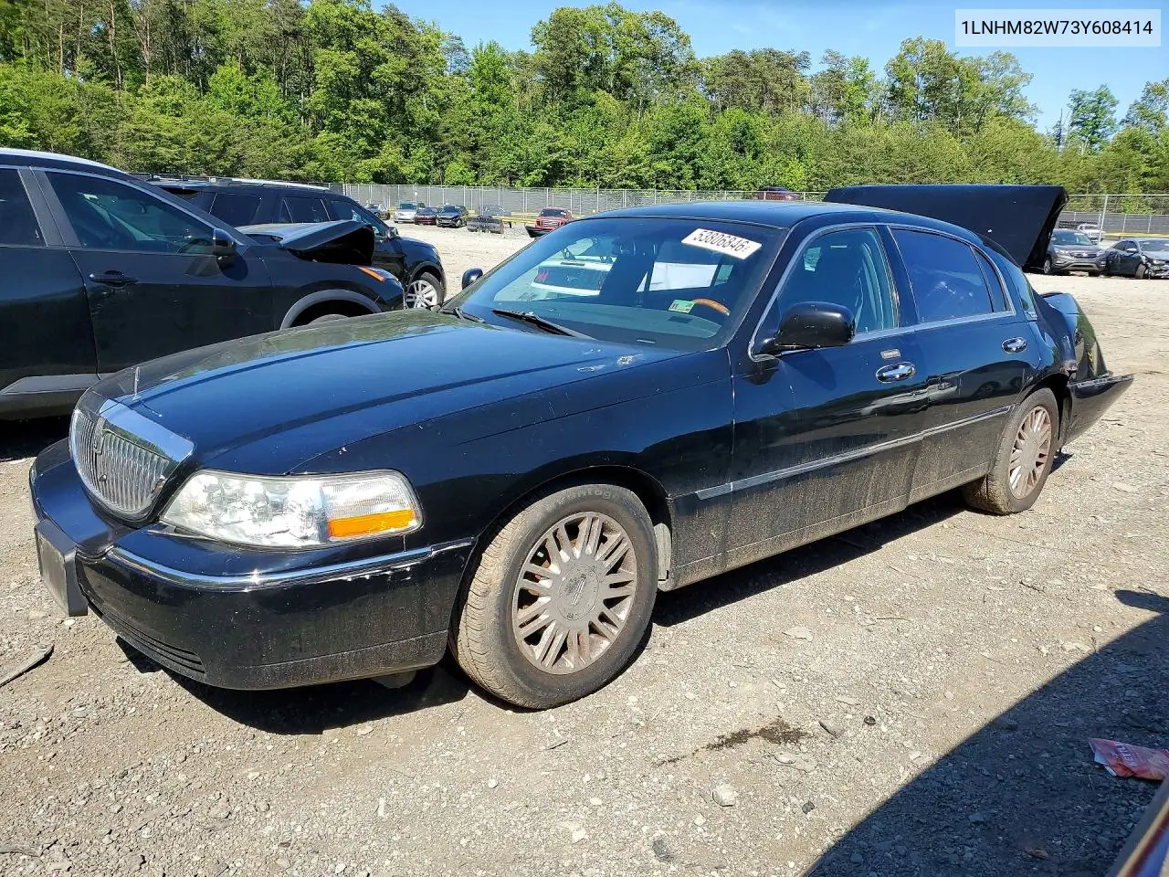 2003 Lincoln Town Car Signature VIN: 1LNHM82W73Y608414 Lot: 53806846