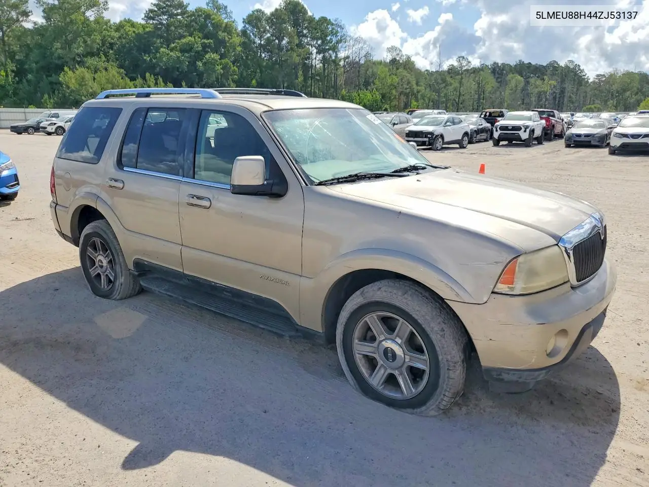 2004 Lincoln Aviator VIN: 5LMEU88H44ZJ53137 Lot: 54429346