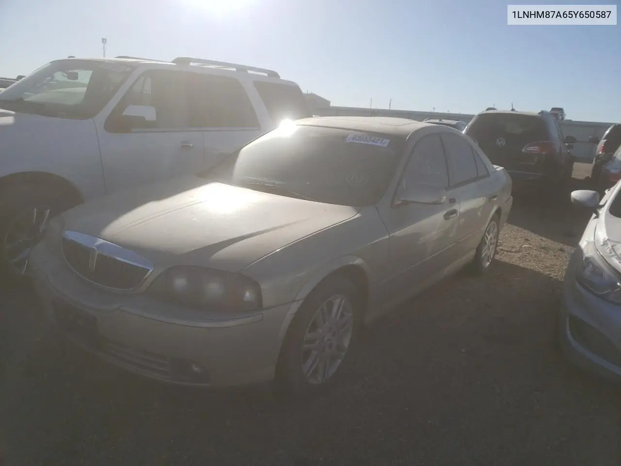 2005 Lincoln Ls VIN: 1LNHM87A65Y650587 Lot: 63055421