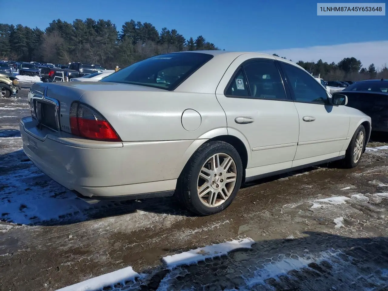 2005 Lincoln Ls VIN: 1LNHM87A45Y653648 Lot: 79309715