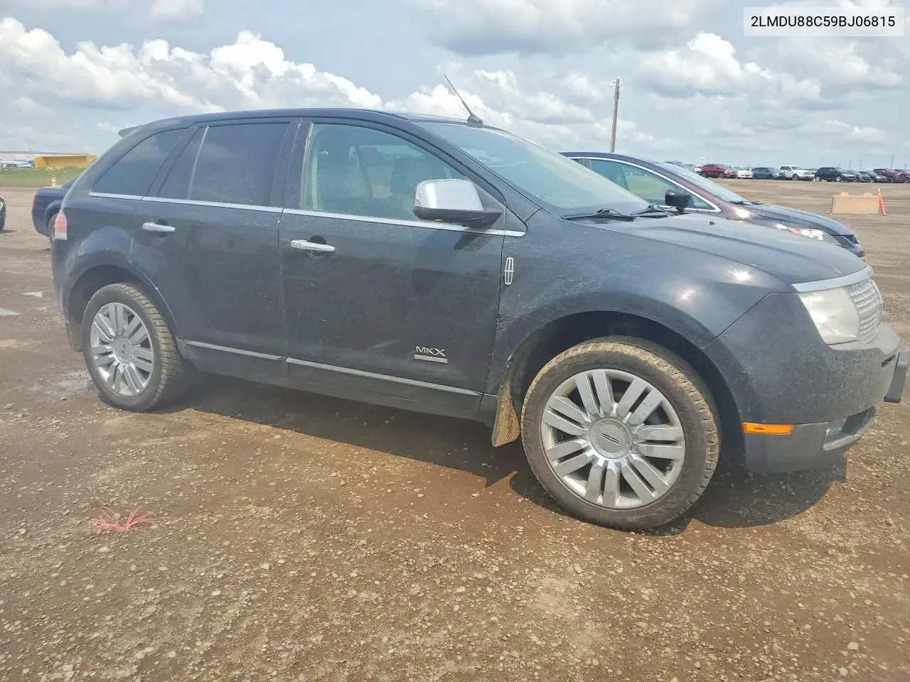 2009 Lincoln Mkx VIN: 2LMDU88C59BJ06815 Lot: 59196156