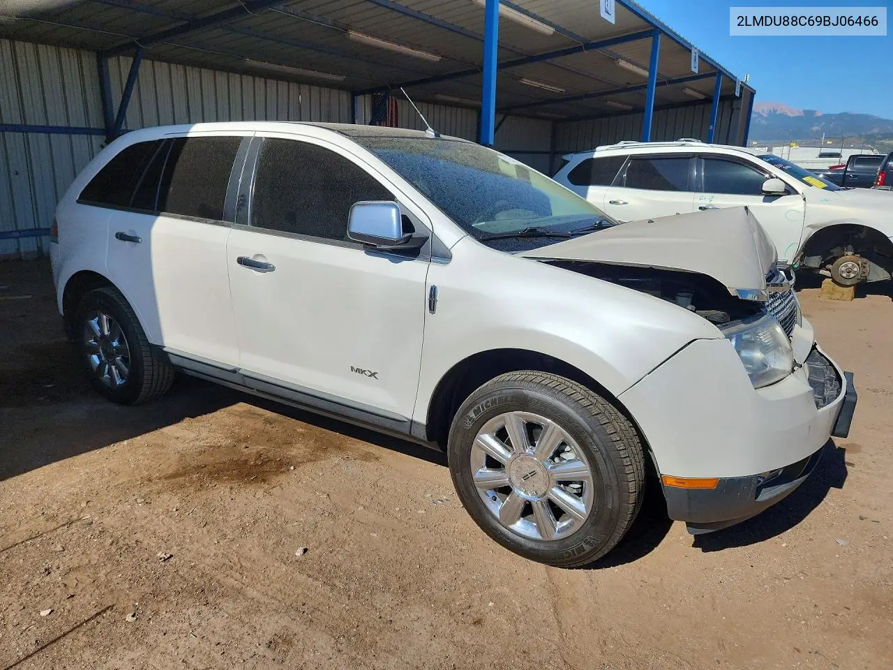 2009 Lincoln Mkx VIN: 2LMDU88C69BJ06466 Lot: 61734176