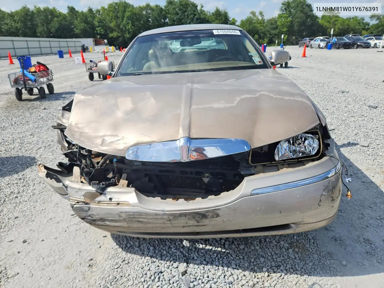 2001 Lincoln Town Car Executive VIN: 1LNHM81W01Y676391 Lot: 61068046
