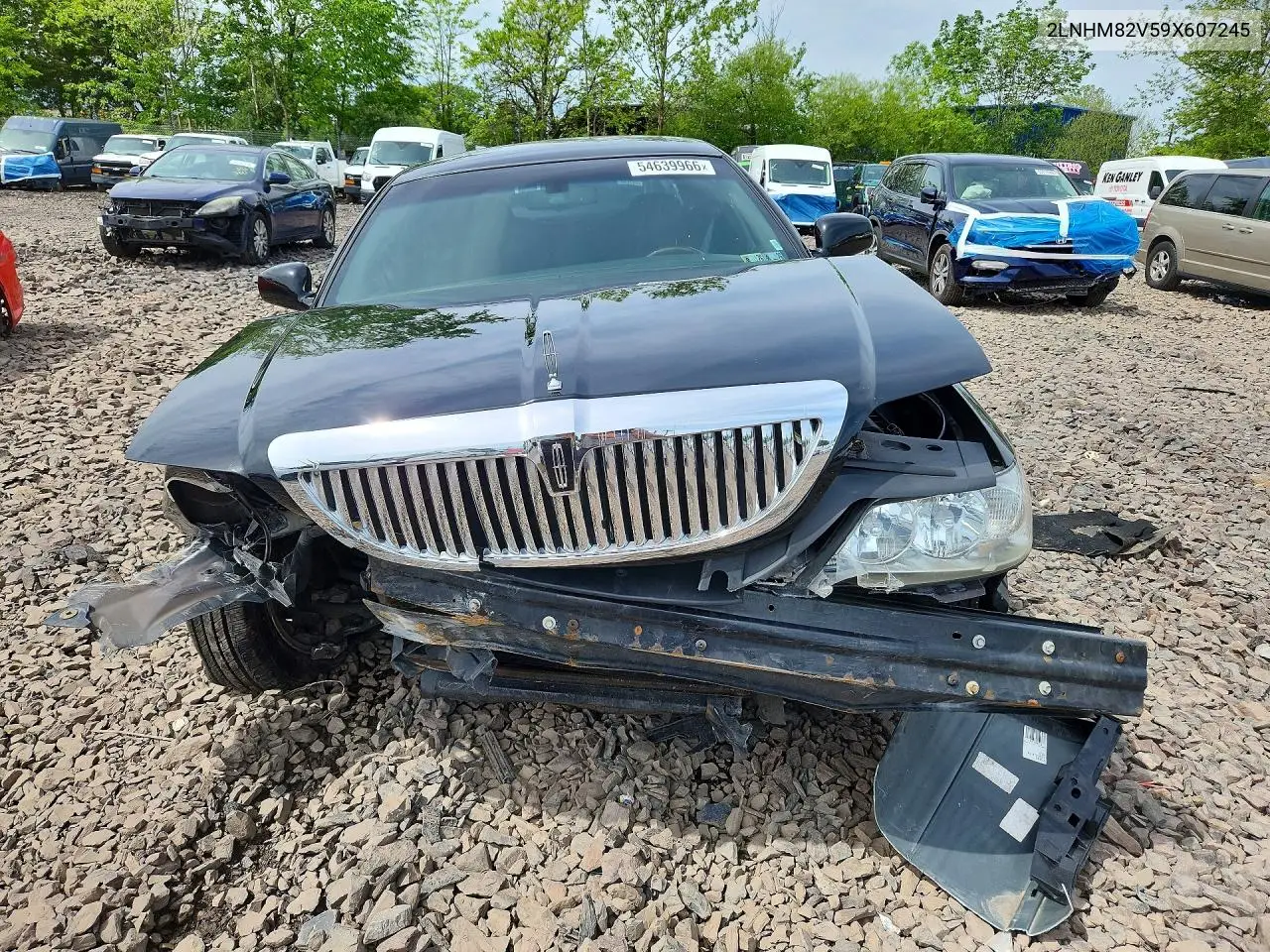2009 Lincoln Town Car Signature Limited VIN: 2LNHM82V59X607245 Lot: 54639966