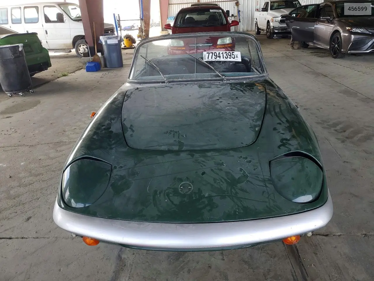 Lotus