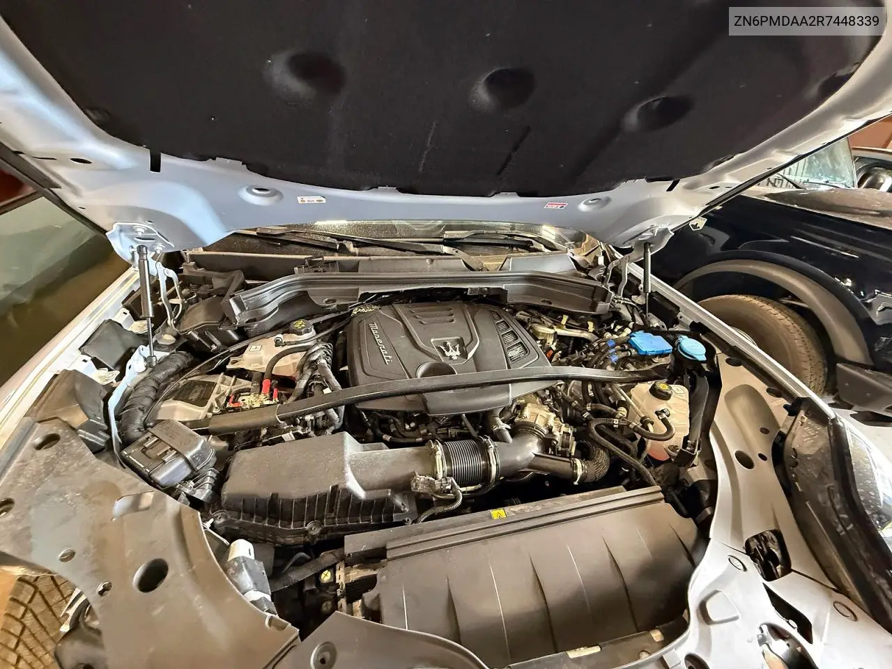 2024 Maserati Grecale Gt VIN: ZN6PMDAA2R7448339 Lot: 57970866