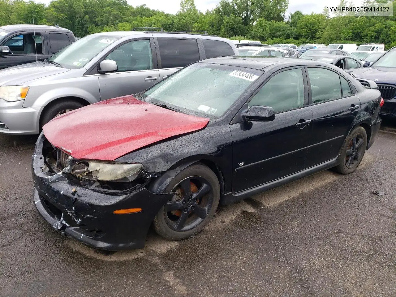 2005 Mazda 6 S VIN: 1YVHP84D255M14427 Lot: 57834406