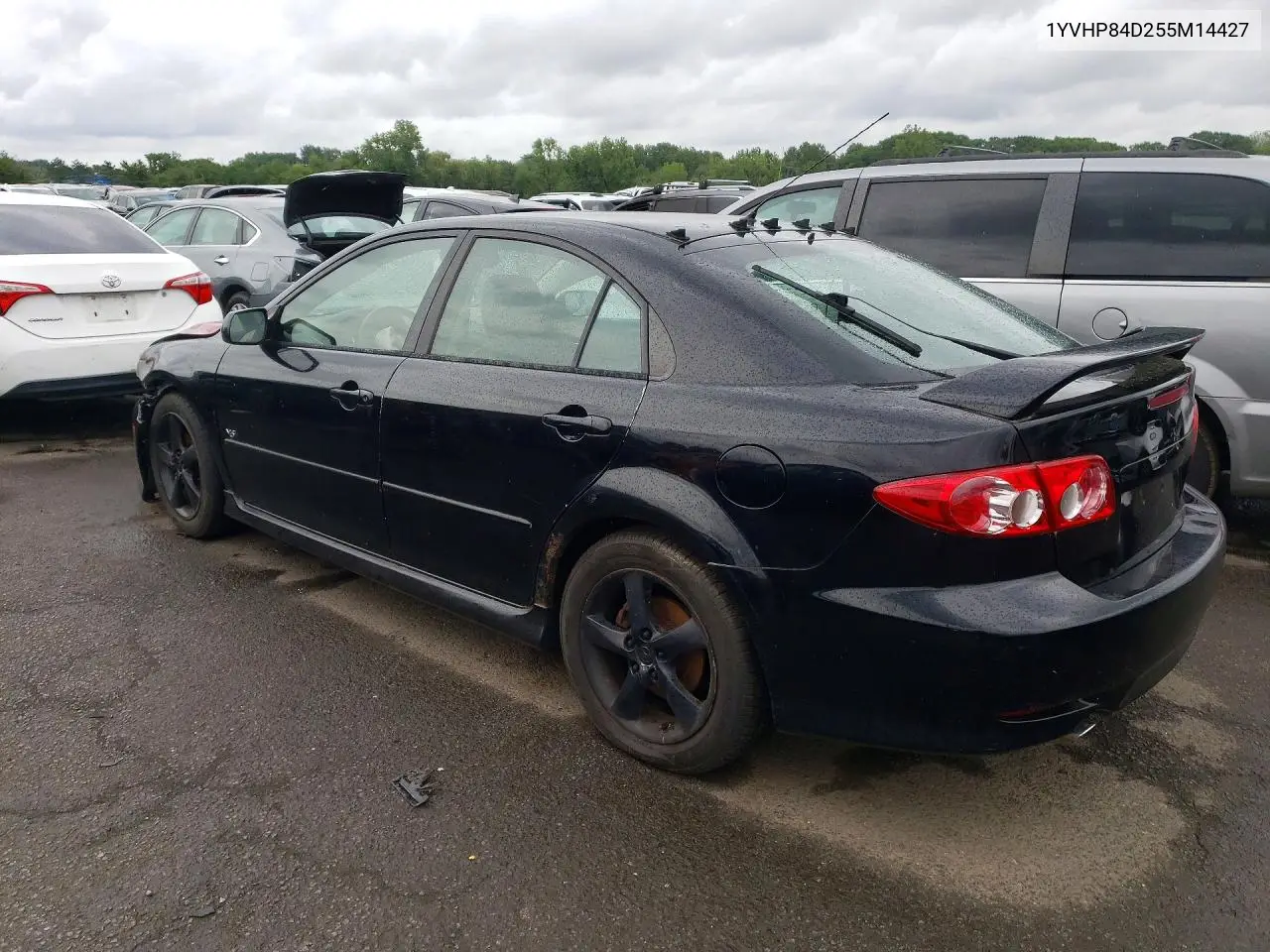 2005 Mazda 6 S VIN: 1YVHP84D255M14427 Lot: 57834406